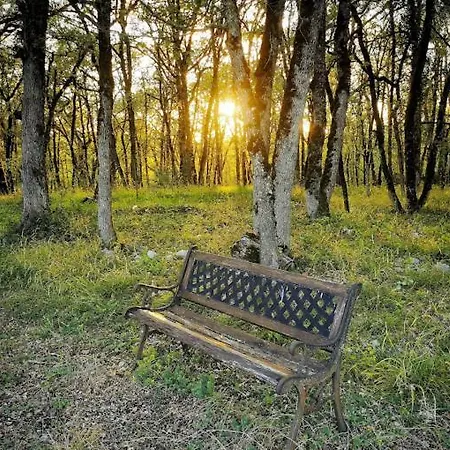 Le Clos Des Dryades Couette-café Vers (Lot)